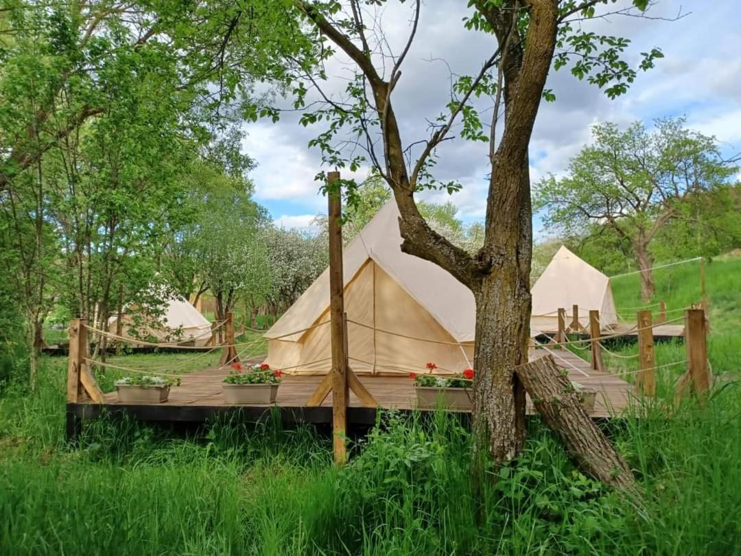My Lake Glamping Dalnic Экстерьер фото
