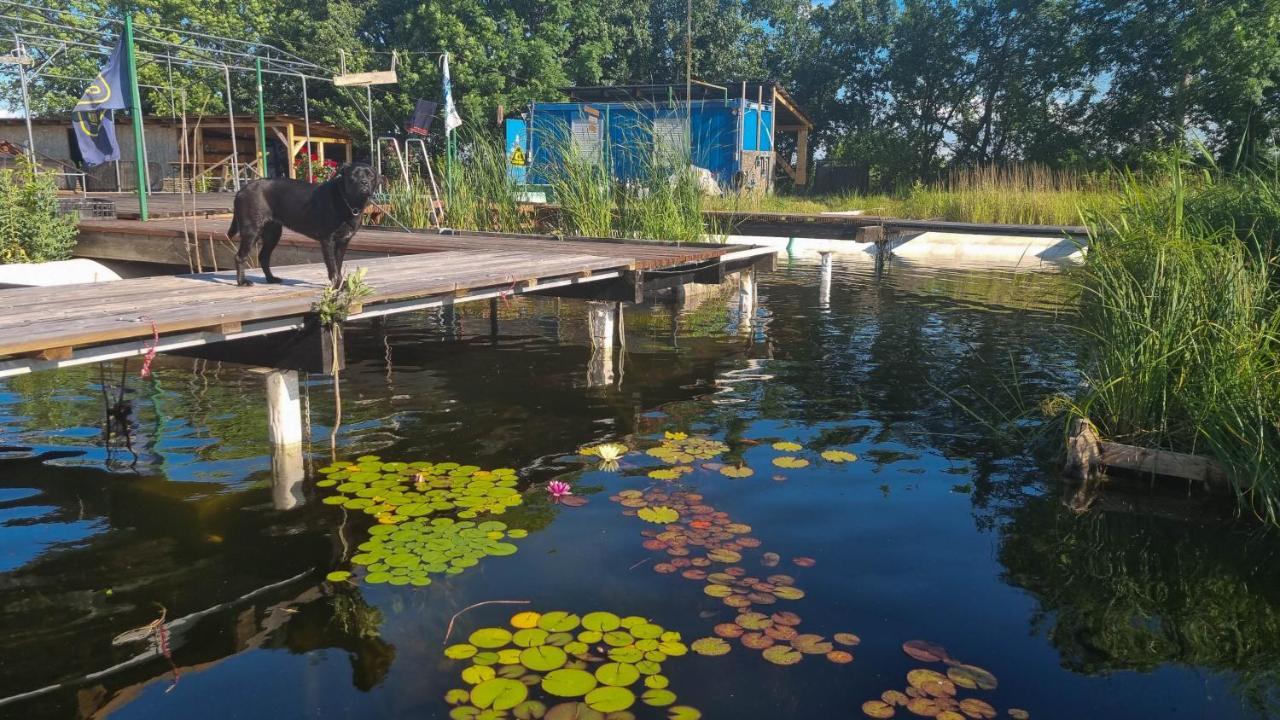My Lake Glamping Dalnic Экстерьер фото