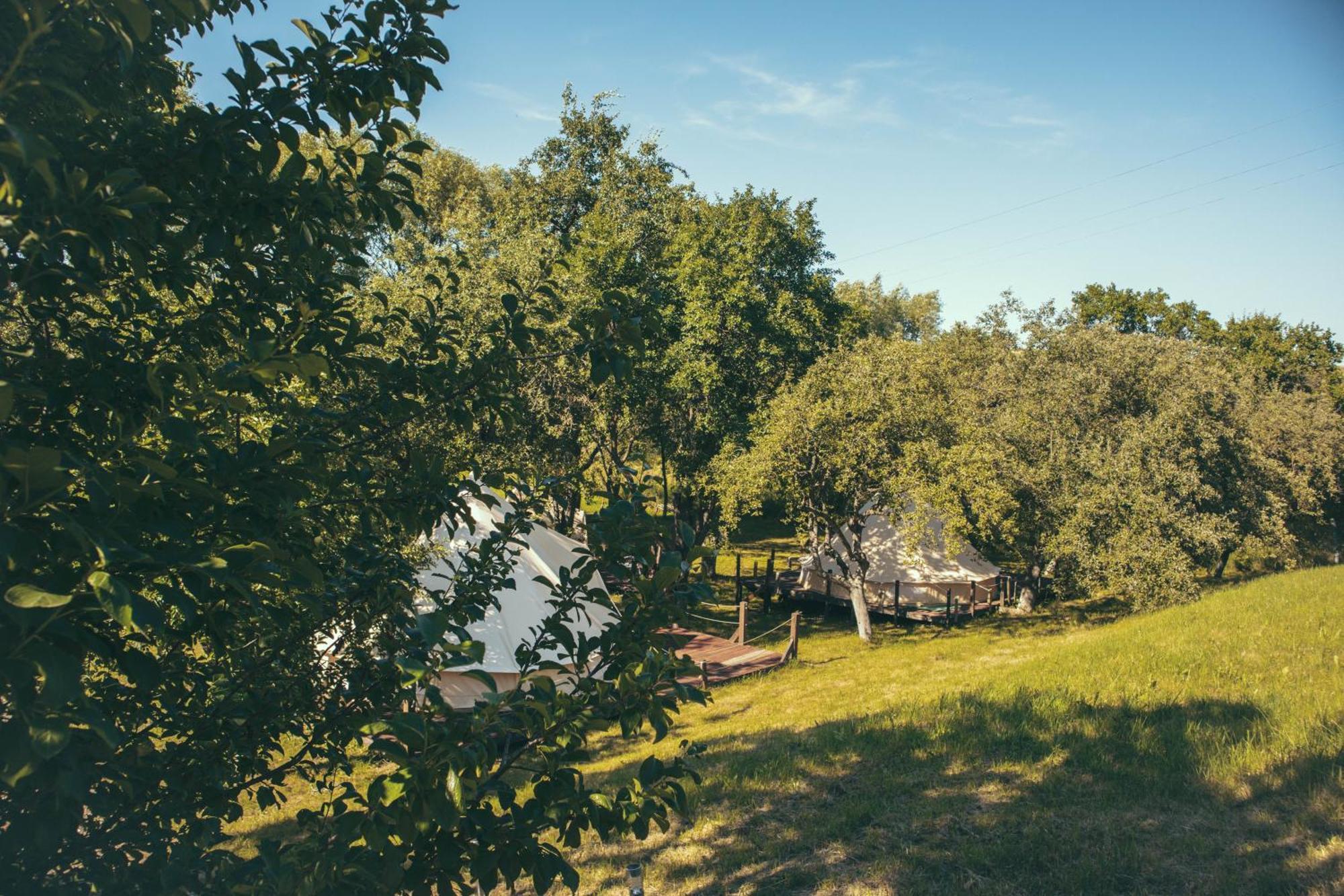 My Lake Glamping Dalnic Экстерьер фото